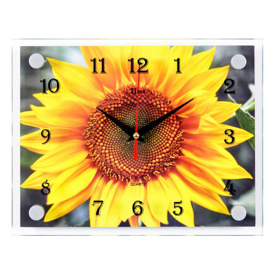 Часы настенные "В849" 25 Х 35 см. заказать в Луганске в интернет магазине Перестройка недорого