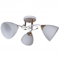 Люстра 06104-0.3-03 WH+FG