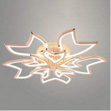 Люстра LED RGB 09822C/5+5A PR FGD 1270W