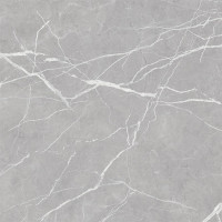 Плитка керамогранит Win grey PG 01 (GC) 450 Х 450 мм.