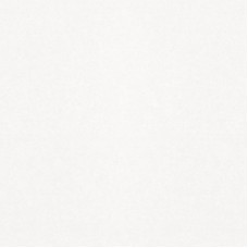 Плитка керамогранит Monocolor sugar white PG 01 (GC) 450 Х 450 мм.