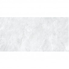 Плитка керамогранит TOLEDO светло-серый AXIMA 600 Х 1200 мм.