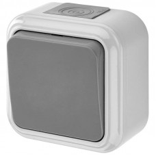 Выключатель 1 клавишный накладной серый А16-222 Беларусь